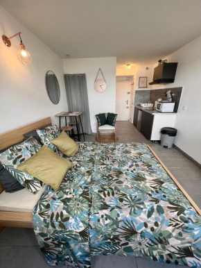 Studio marina baie des anges